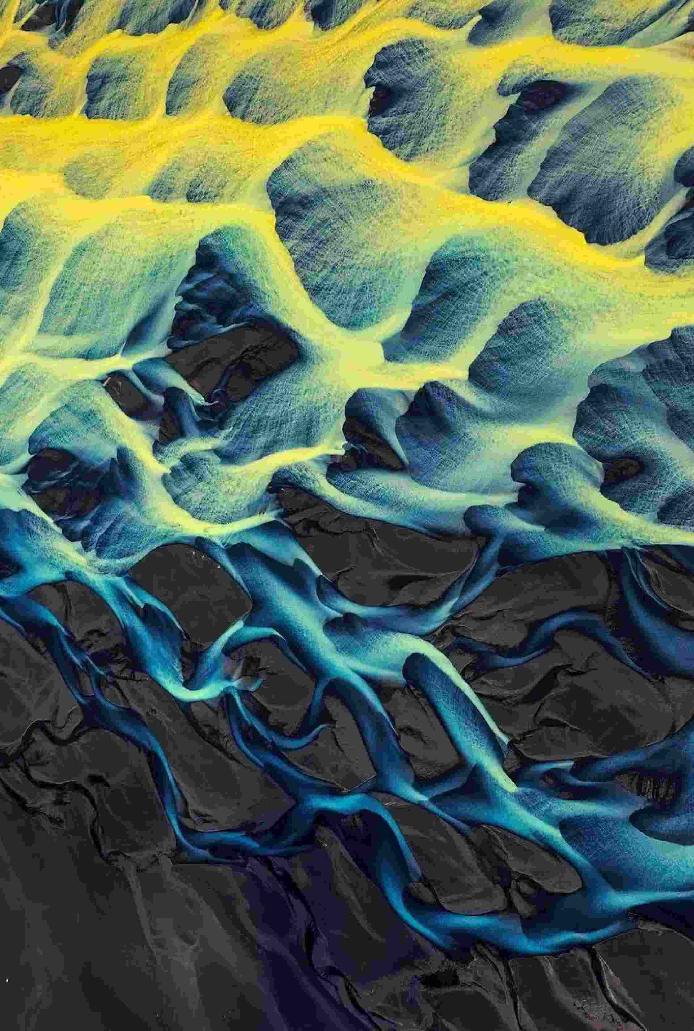 Lee más sobre el artículo Fractal Fluid