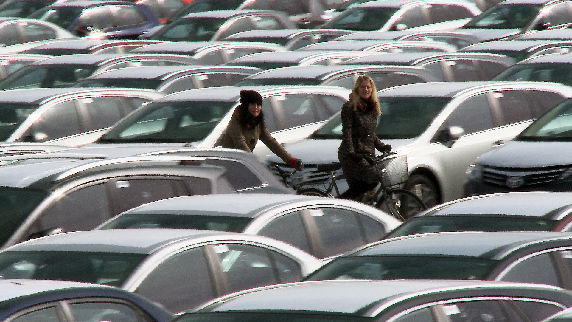 Lee más sobre el artículo Bikes vs. Cars