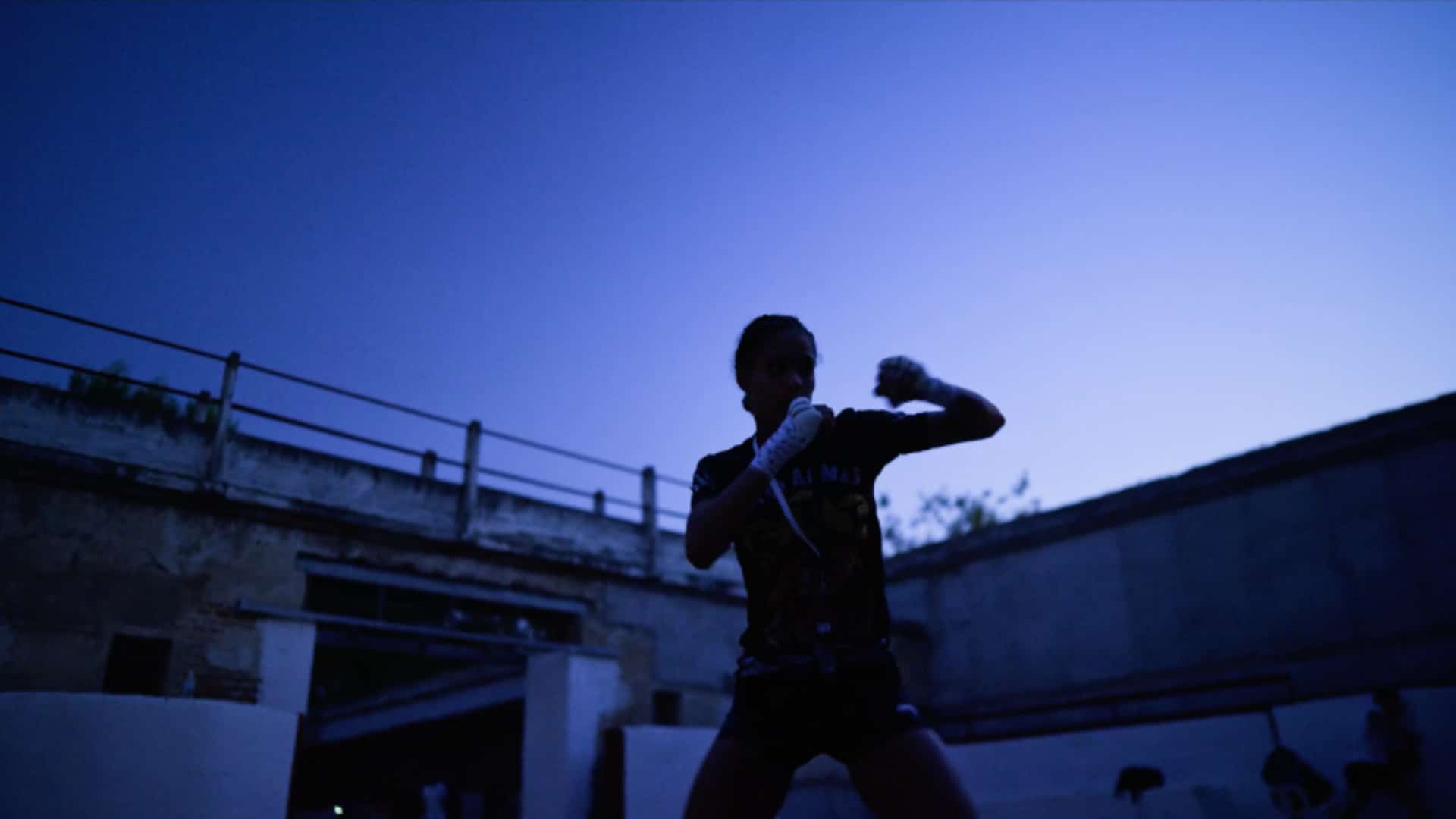 Read more about the article Valkyries